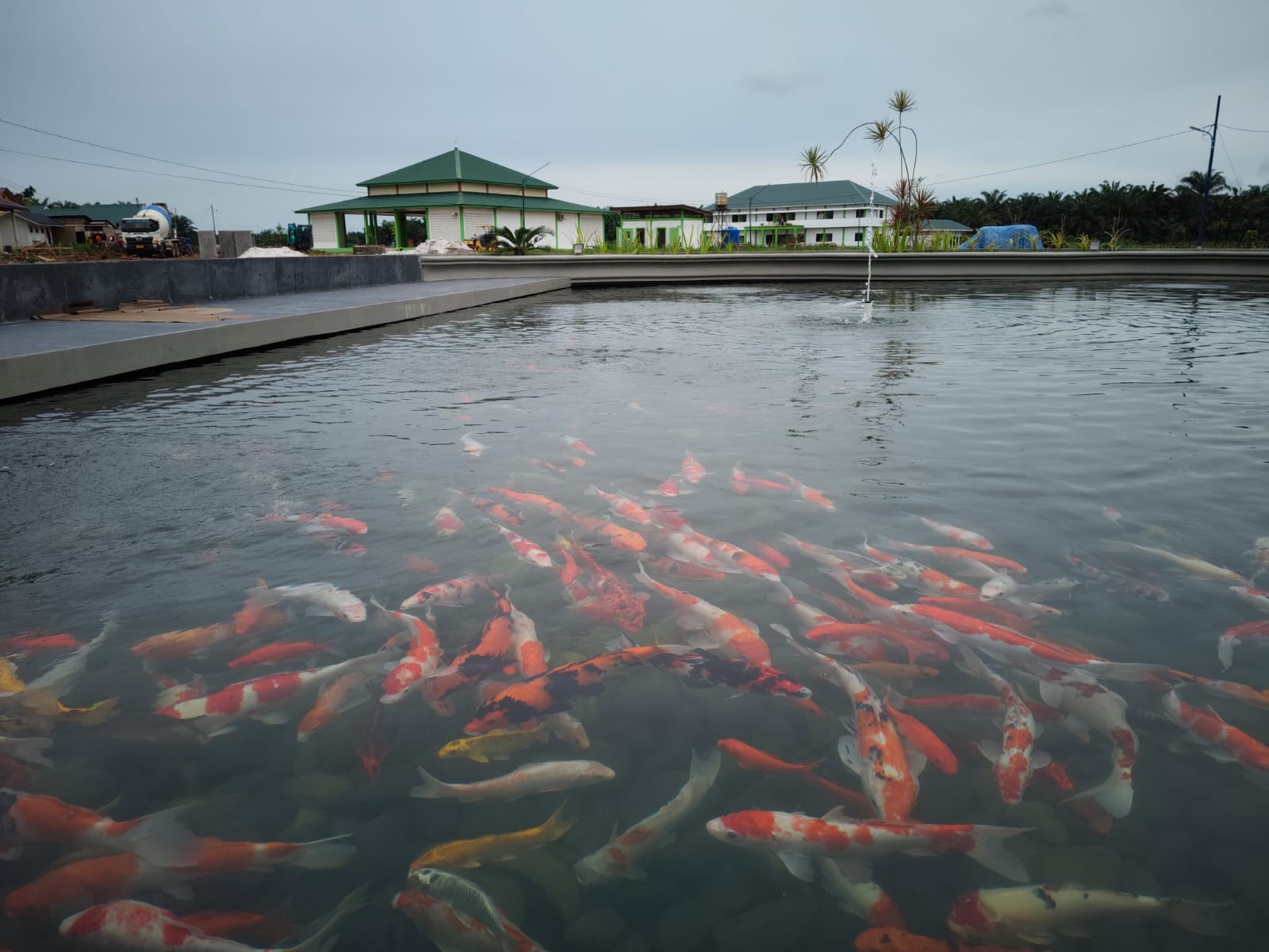 Galeri Profil Sekolah SMPIQu Al-Bahjah Al-Maunah